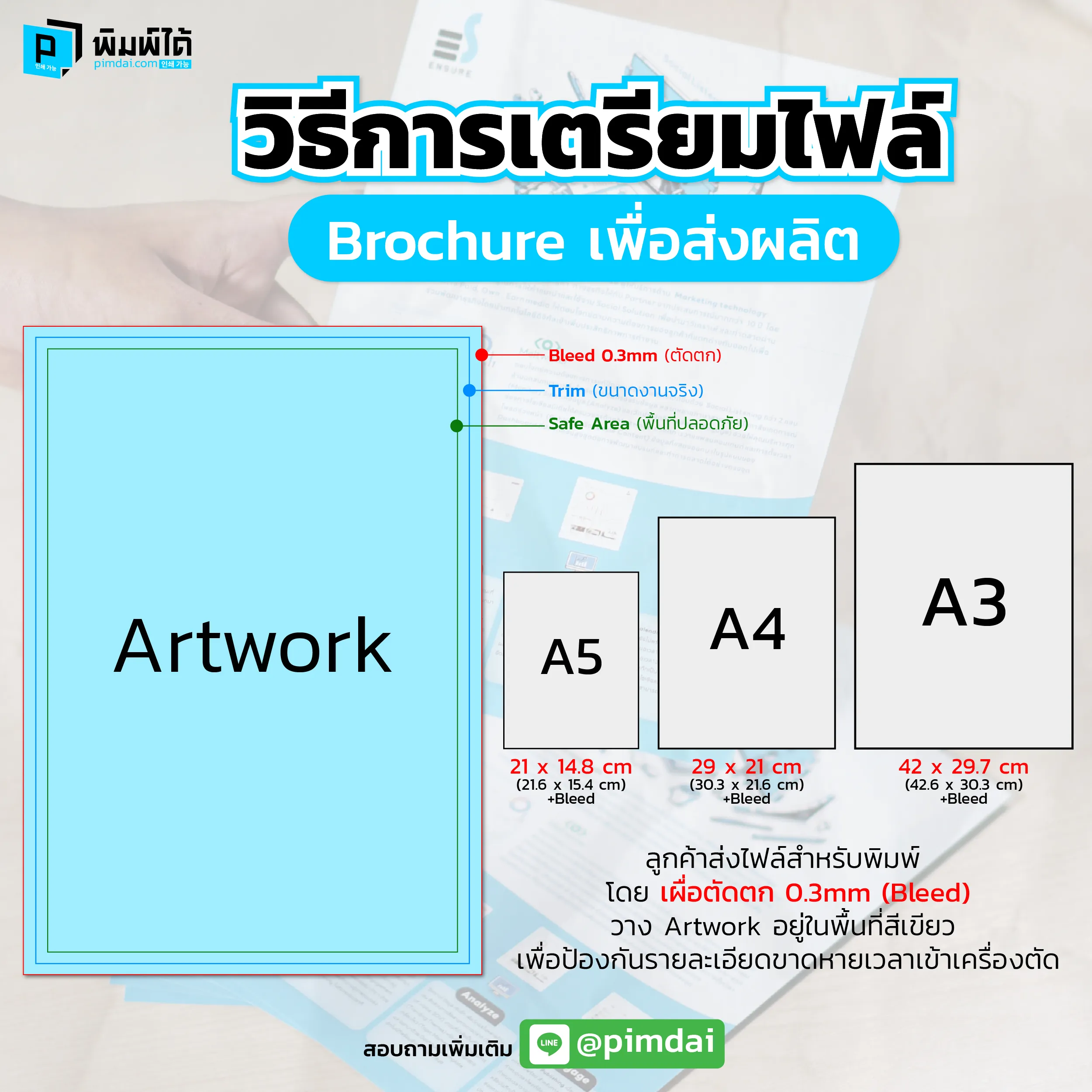 Pimdai ราคา Brochure