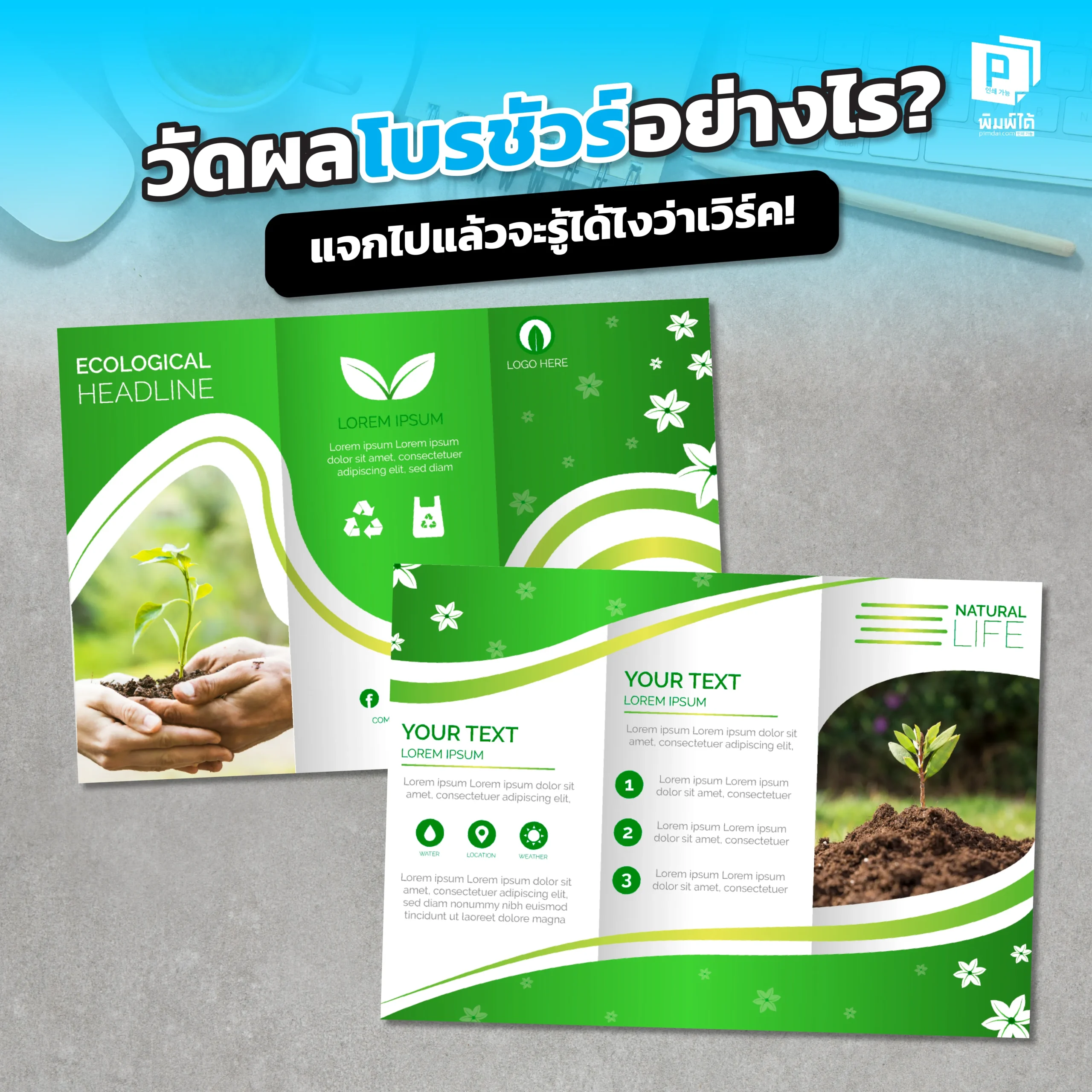แจกโบรชัวร์ไปแล้วจะรู้ได้อย่างไรว่าเวิร์ค? Pimdai เผยเทคนิคการวัดผลโบรชัวร์อย่างมืออาชีพ ทั้งการใช้ QR Code โค้ดส่วนลด เพื่อให้คุณรู้และไม่เสียเงินการตลาดฟรี