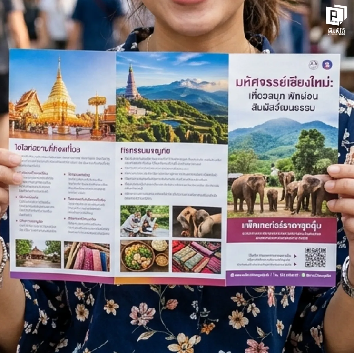 กำหนด "โครงสร้างเรื่องเล่า" โบรชัวร์ (The Narrative Structure)