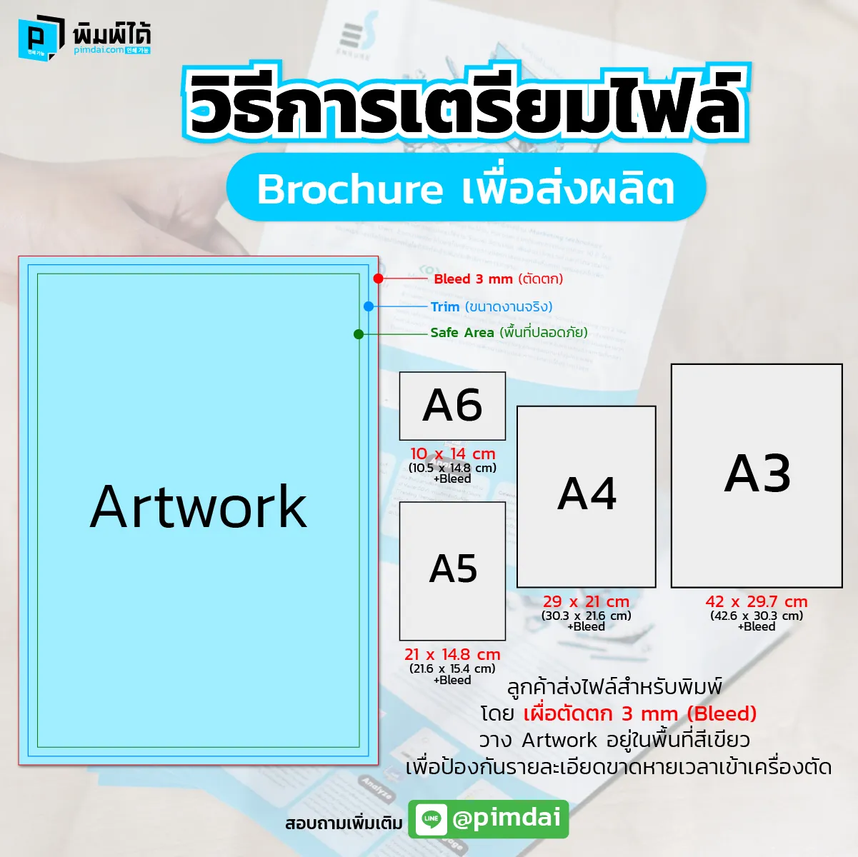Pimdai ราคา Brochure