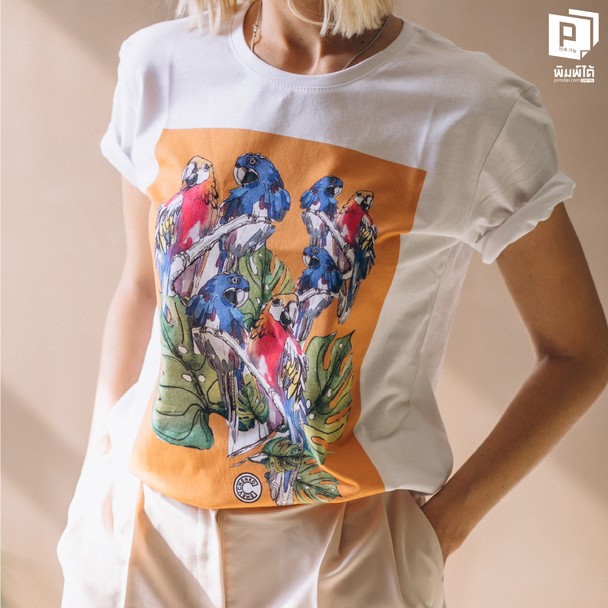 เสื้อพิมพ์ลาย ศาสตร์แห่งความละเอียด (Resolution): กฎเหล็กของความคมชัด