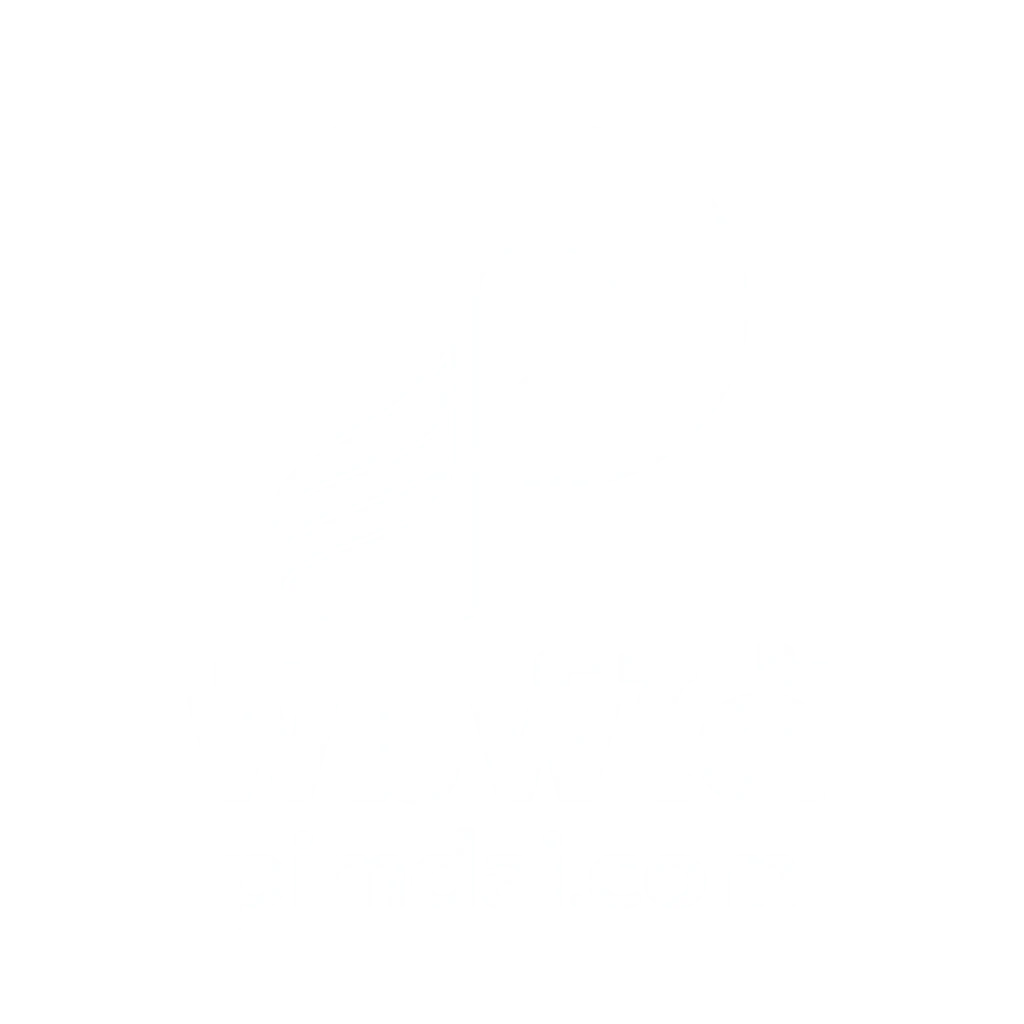 logo pimdai