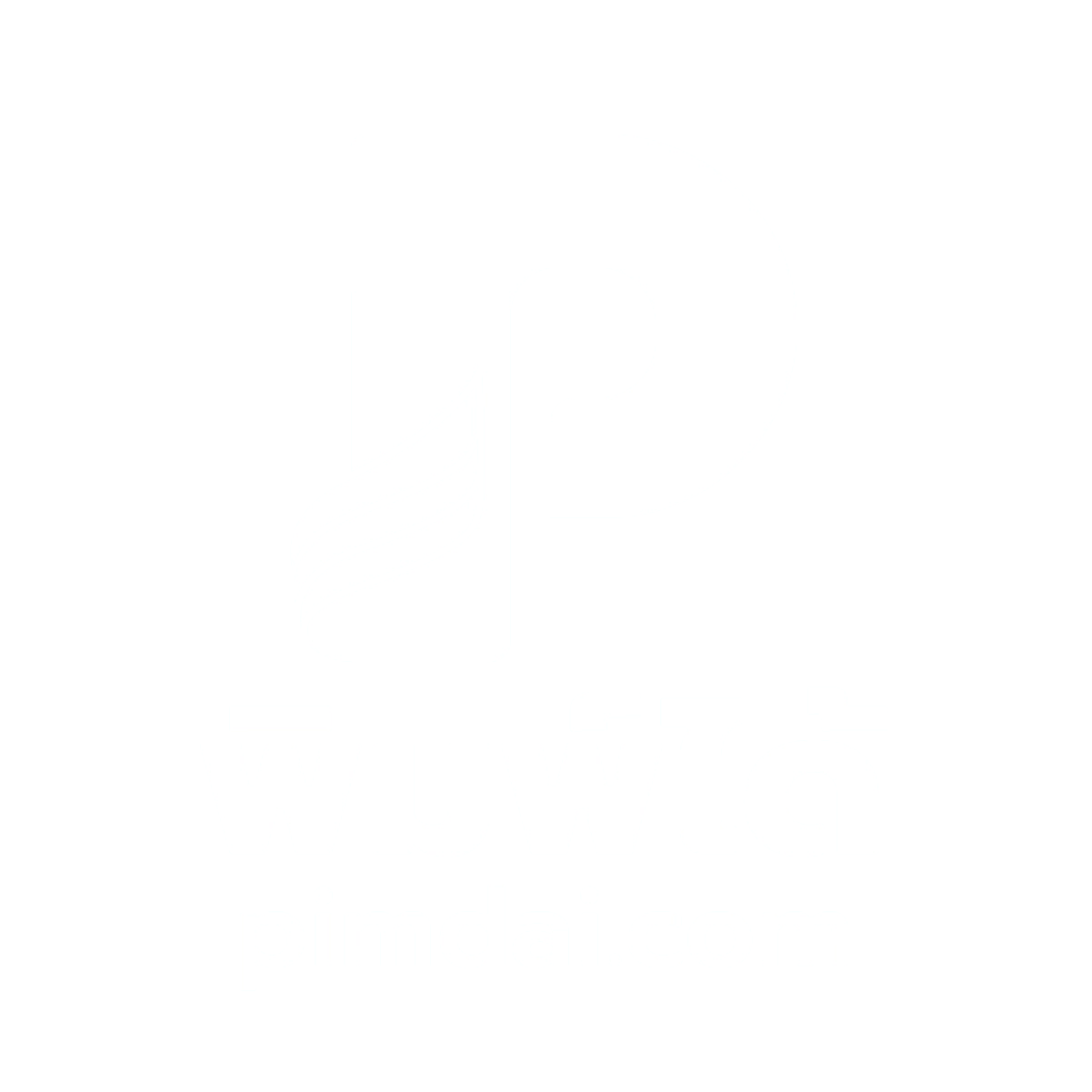 logo pimdai